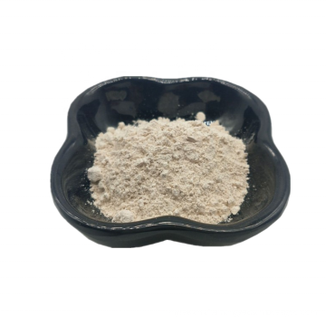 Raw Material Health Food water soluble chitosan powder